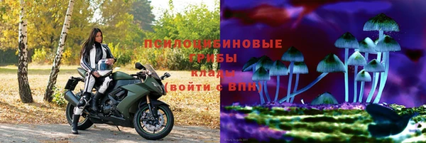 2c-b Алексин
